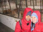 Travis and Sonya in front of a few tigers at Harbin Tiger Preserve