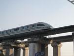 Watching the MagLev train drive past
