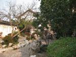 Nice looking garden