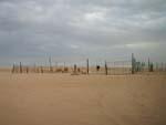 A remote camel farm