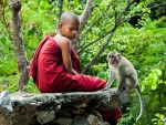 A monkey and a young monk resting