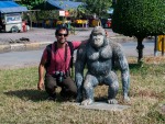 Travis and gorilla
