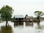 Floating houses on Tonle Sap tributary