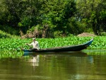 Lush vegetation along Stoeng Sangke river