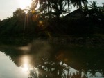 Reflection of palm trees on Sangker River