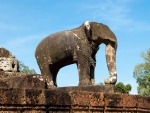 Elephants around the terraces of East Mebon