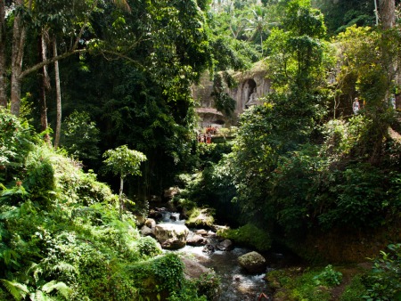 Pakerisan river flowing through lush jungle