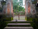 monkey-forest-ubud-bali-indonesia-k-the-temple-inside-the-monkey-forest