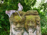 monkey-forest-ubud-bali-indonesia-q-two-monkeys-sitting-on-two-heads