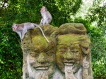 monkey-forest-ubud-bali-indonesia-q-two-monkeys-sitting-on-two-heads