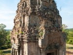 One of the towers of Pre Rup, notice the growth on the bricks