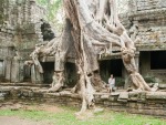 Sonya sitting underneath the roots of a large overgrown tree