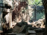 Roots of the strangler fig draped over the temple
