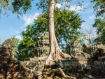 The remains of the Ta Prohm temple