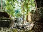 Looking from the East over the wall towards Ta Prohm