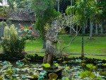 ubud-city-bali-indonesia-museum-puri-lukisan-n-ponds-with-lotus-in-the-gardens-of-the-ubud-museum