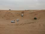Many vehicles dune bashing