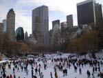 Central Park ice rink