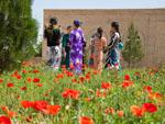 Turkmen women talking with poppies in the foreground