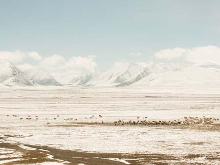 Scenery on the Qinghai to Tibet Railway