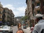 Start of the horse drawn carriage tour