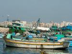 Boats moored in Alexandri Bay