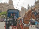 Sonya and Travis in the horse drawn carriage with El-Mursi Abul Abbas Mosque in the background
