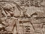 Temple of Seti I - Wall carving of Thoth 