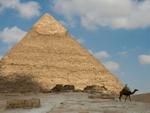 Camel in front of Pyramid of Khafre