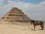 Horse at the Pyramid of Djoser (Step Pyramid)