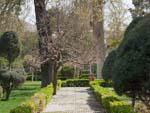 Meticulous, lush gardens of Golestan Palace