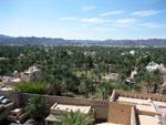 Overlooking the date palm plantations