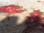 Blood from recent goat killings