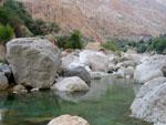 One of the turquoise pools at Wadi Tiwi