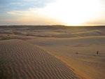 Looking over Wahiba Sands