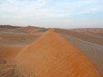 Looking over Wahiba Sands