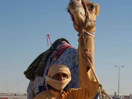 Camel and handler
