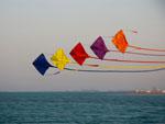 Colourful kites
