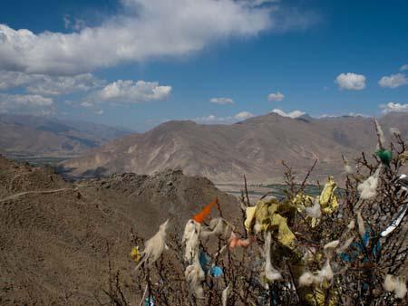 Tangled prayer flags and wool in the treys along the Kora