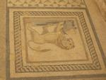 Lion floor mosaics in the Palaces on the Slopes